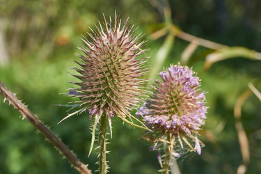 Similar image 21611294