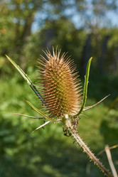 Similar image 21611979