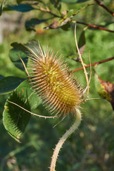 Similar image 21611358