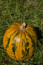 Similar image 21611980