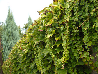 Similar image 21626961