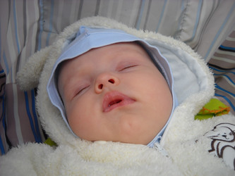 Similar image 21627046