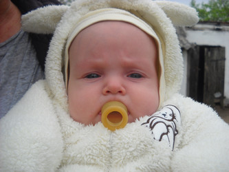 Similar image 21627049