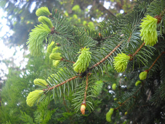 Similar image 21627216