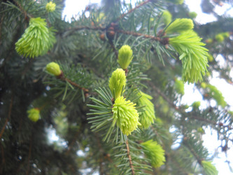 Similar image 21627218