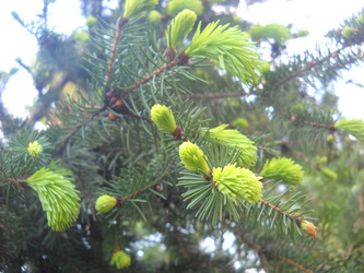 Similar image 21627219