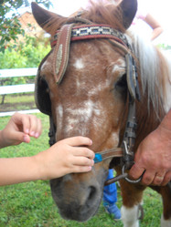 Similar image 21627222