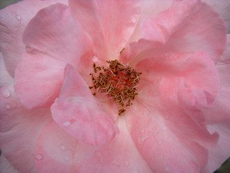 Similar image 21627231