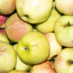 Similar image 21611363