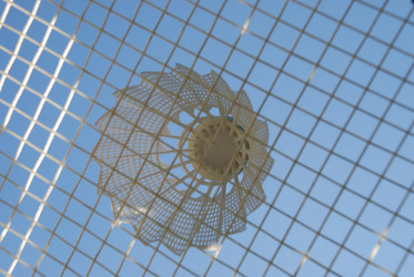 Similar image 21611372