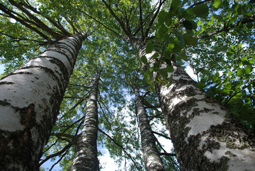 Similar image 21611385