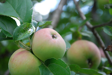 Similar image 21611389