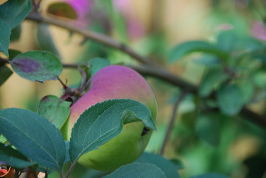 Similar image 21611393