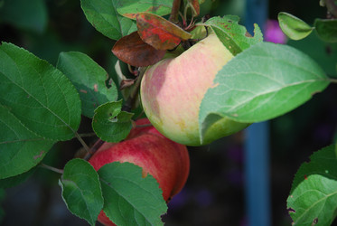 Similar image 21611394