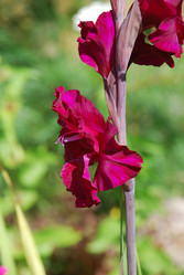 Similar image 21611396