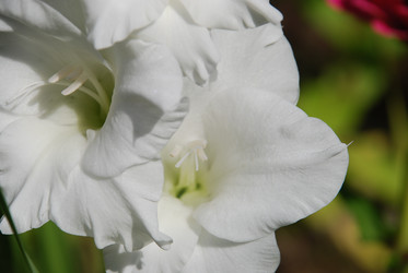 Similar image 21611397