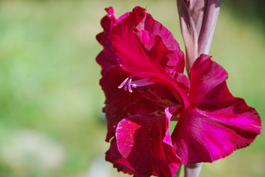 Similar image 21611398