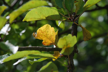 Similar image 21611399