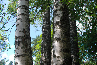 Similar image 21611400