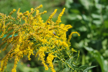 Similar image 21611401