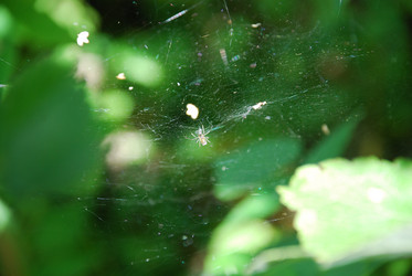 Similar image 21611404