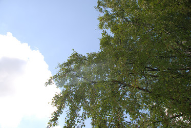 Similar image 21611405