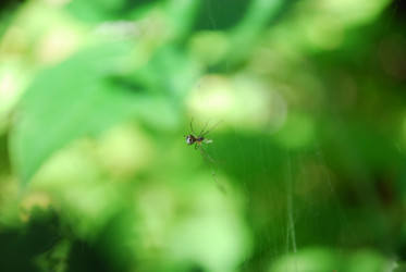 Similar image 21611406