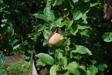 Similar image 21611407