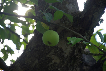 Similar image 21611409