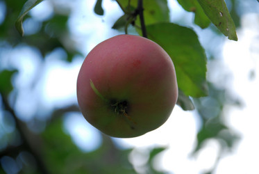 Similar image 21611410