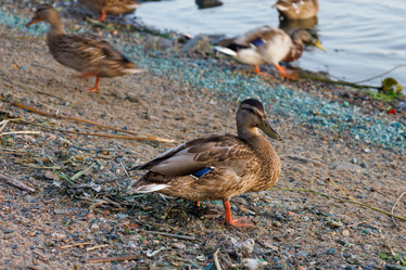 Similar image 21611296