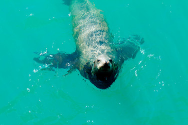 Similar image 21626549