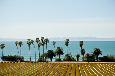 Similar image 21626552