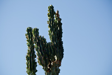 Similar image 21626553