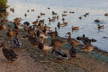 Similar image 21611414