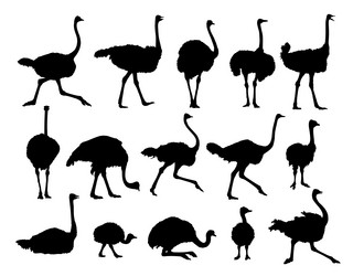 Similar image 21626554