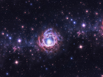 Similar image 21613507