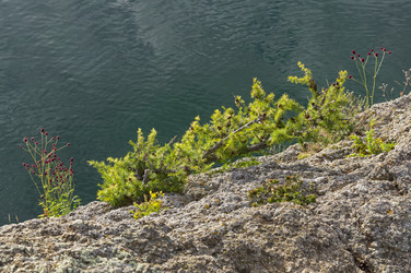 Similar image 21611427