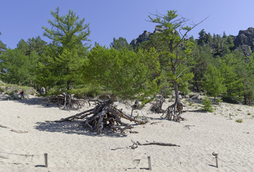 Similar image 21611430