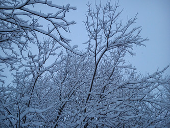 Similar image 21621577