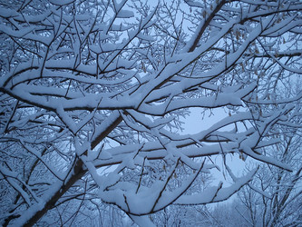 Similar image 21621578