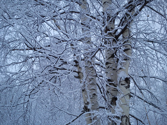 Similar image 21621579