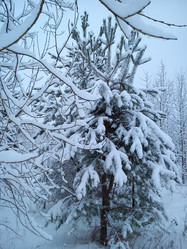 Similar image 21621582