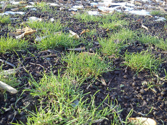 Similar image 21621584