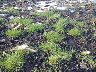 Similar image 21621585