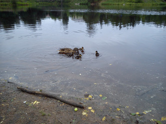 Similar image 21621593