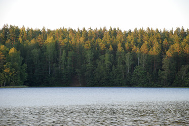 Similar image 21613555