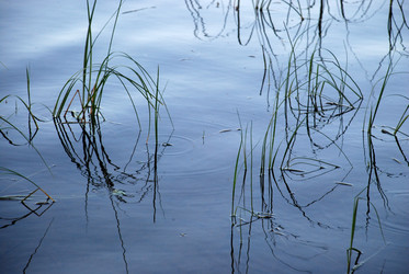 Similar image 21613556