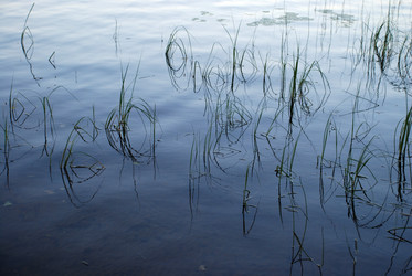 Similar image 21613557