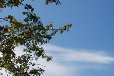 Similar image 21613566